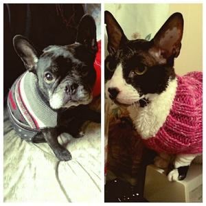 Meet your Posher, Tina